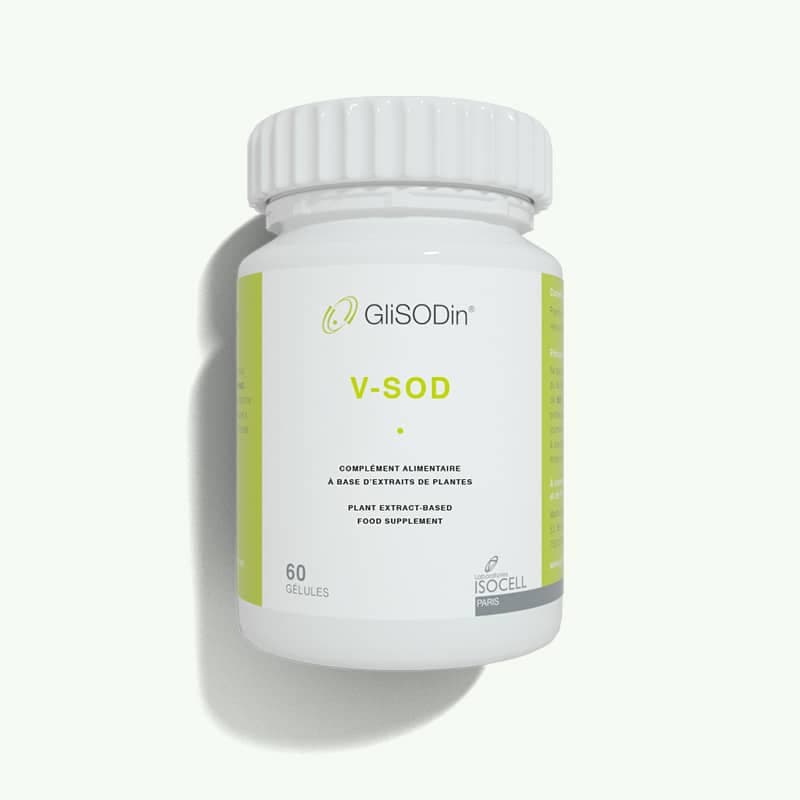 Glisodin V Sod 60 Gelules